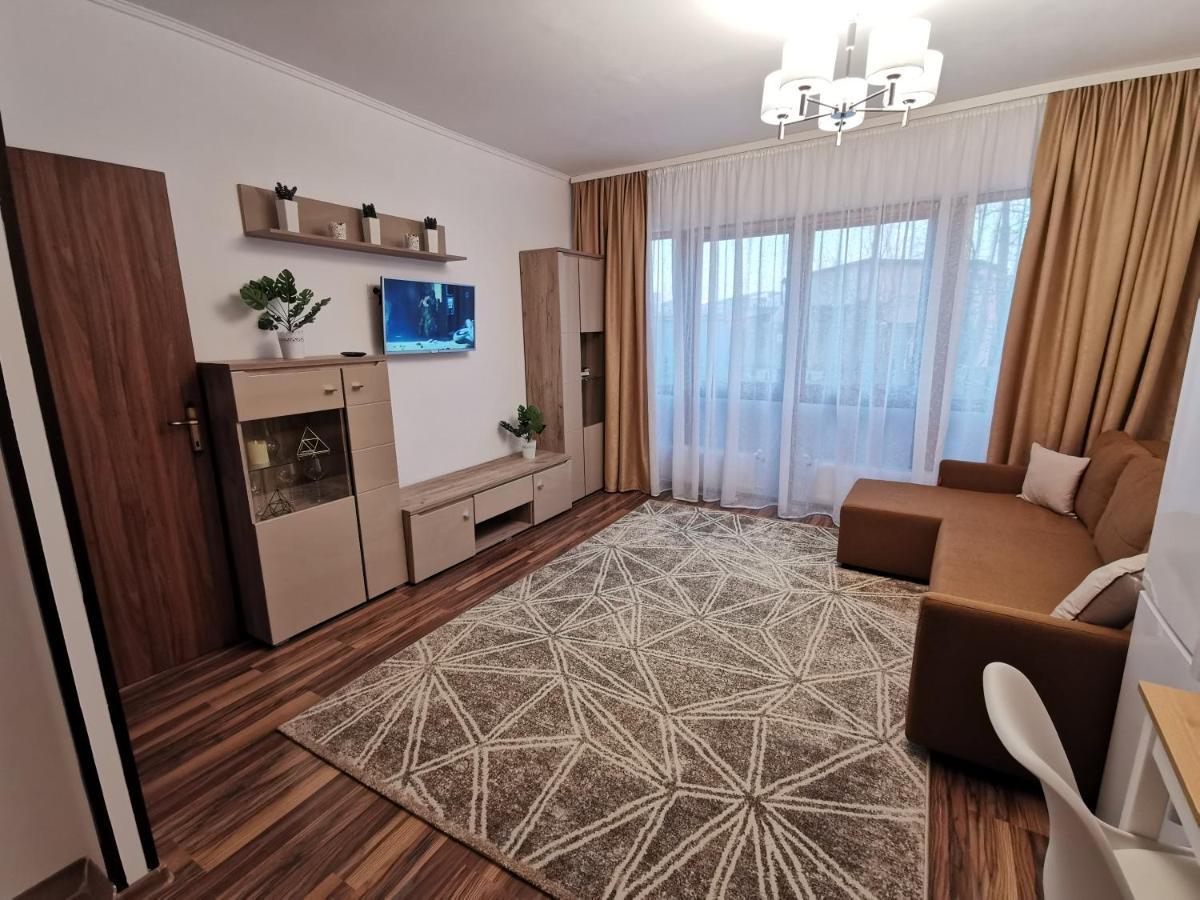Charming Apartment In Villa Iasi Exterior foto